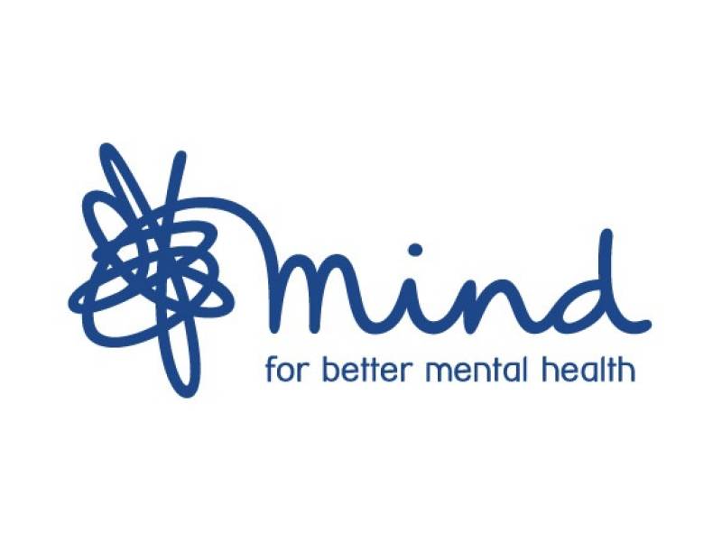 New Mind logo blue